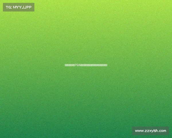 菲律宾篮球协会PBA赛季激情对决荣耀冠军热血争夺战引爆全场